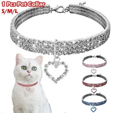 Pet Accessories